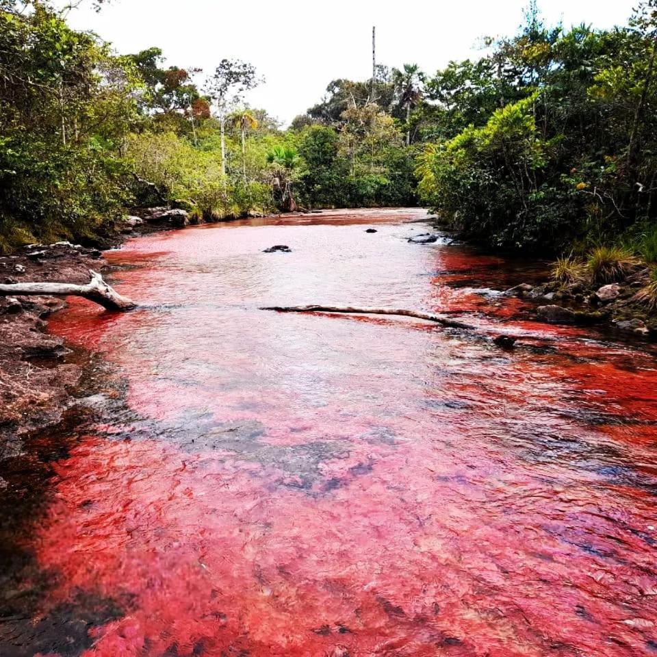 Hotel Ecologico Makalombia La Macarena Kültér fotó