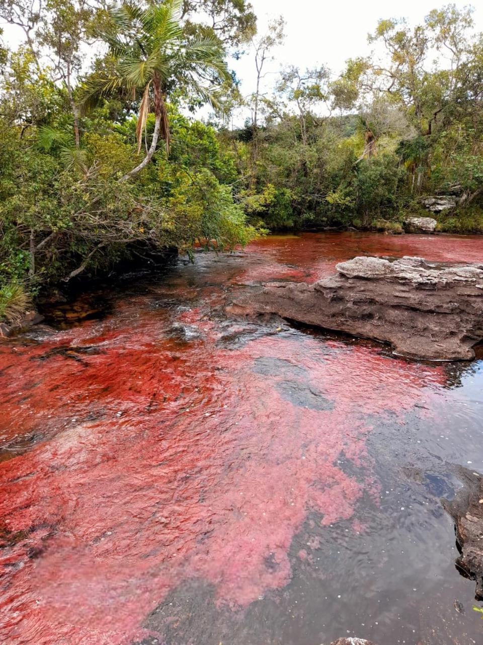 Hotel Ecologico Makalombia La Macarena Kültér fotó