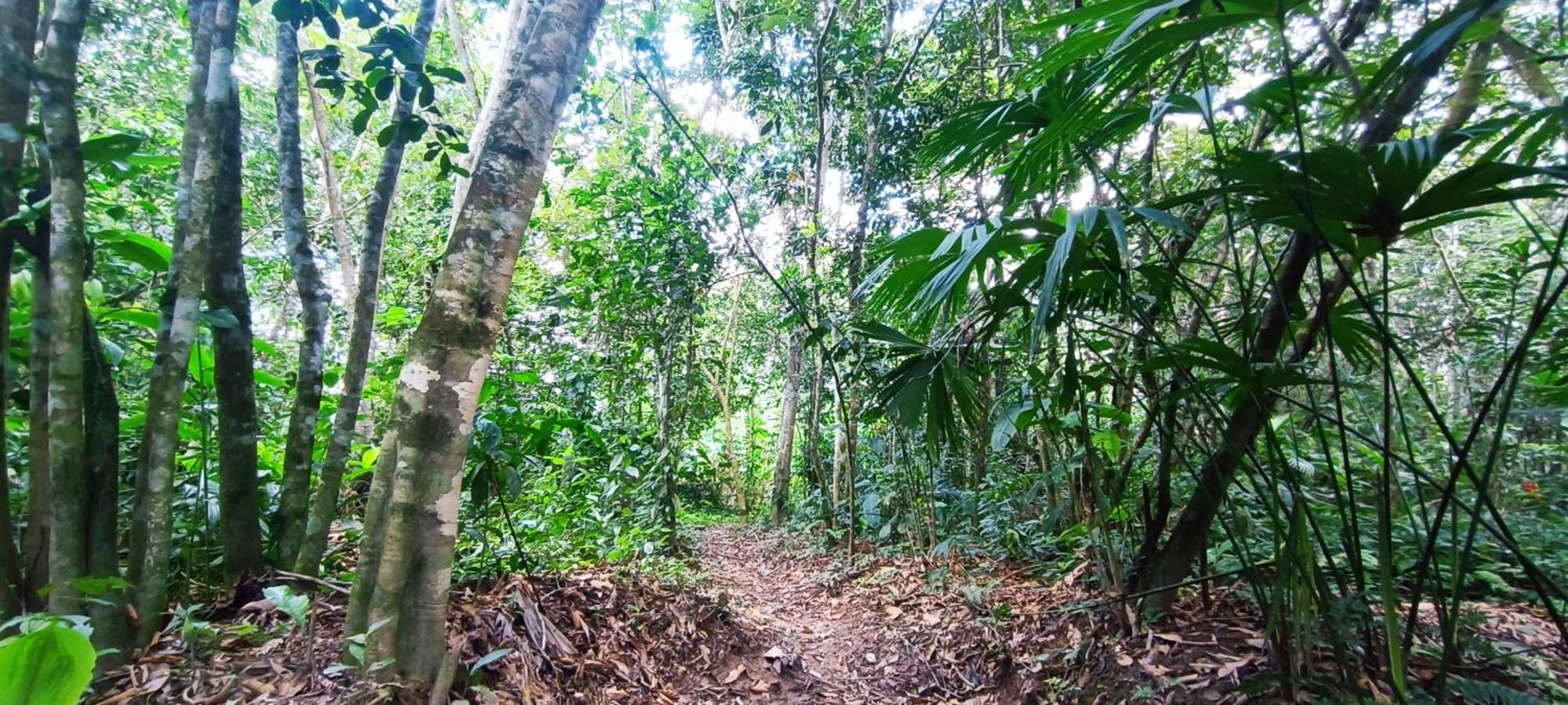 Hotel Ecologico Makalombia La Macarena Kültér fotó