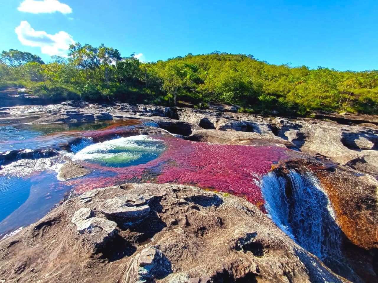 Hotel Ecologico Makalombia La Macarena Kültér fotó