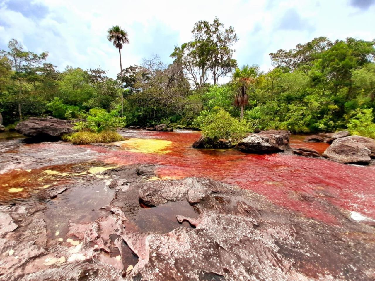 Hotel Ecologico Makalombia La Macarena Kültér fotó