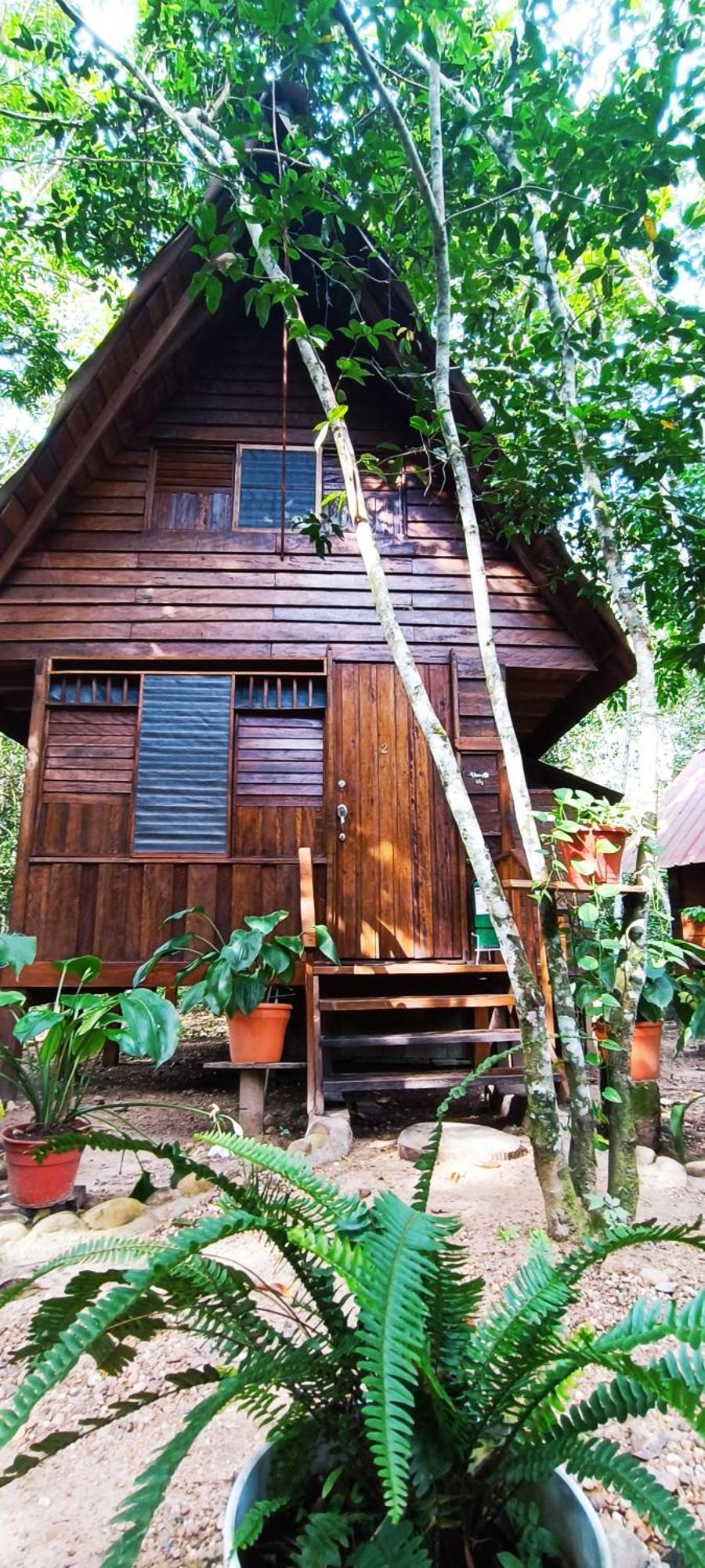 Hotel Ecologico Makalombia La Macarena Kültér fotó